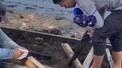 Sinergi Polisi dan Masyarakat, Pantai Dusun Sigi Bersih dan Tertata Berkat Gotong Royong