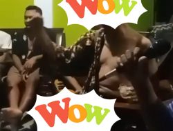 Viral! Oknum Anggota DPRD NTB Diduga Pesta Miras dan Joget Tak Senonoh, Aktivis Desak Sanksi Tegas