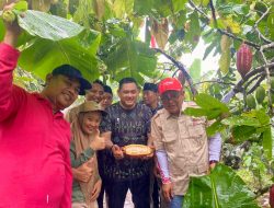 DKP3 Lombok Utara Dorong Pendaftaran Dua Varietas Kakao Lokal ke Kementerian Pertanian
