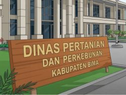 Penyaluran DBHCHT Diduga Mandek: Petani Tembakau di Sape Keluhkan Bantuan Alat Pertanian Tak Kunjung Turun