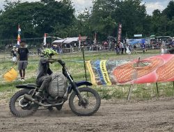Serunya Balap Ojek Gabah di Desa Kakiang Sumbawa: Tradisi Sawah yang Jadi Hiburan Rakyat Penuh Adrenalin