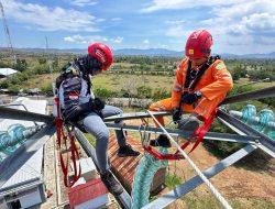 PLN Perkuat Keandalan Sistem Kelistrikan Sumbawa Melalui Pemeliharaan Jaringan Transmisi