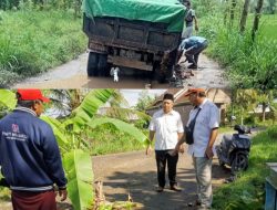 Dekat Kantor Bupati Tapi Jalannya Rusak: Warga Bangket Tengak Tanam Pohon Pisang Sebagai Protes