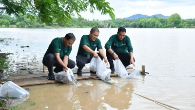 Wujudkan Filosofi “Berkah Bermakna”, Bank NTB Syariah Gelar Aksi Pelestarian Lingkungan di Bendungan Penyaring Sumbawa