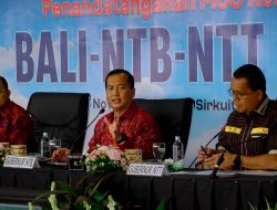 PLN Dukung Penguatan Sektor Energi dalam Kerjasama Regional Bali–NTB–NTT