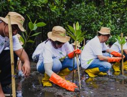 Hari Menanam Pohon Indonesia 2025: PLN Tanam lebih dari 5.000 Pohon untuk Hijaukan Pesisir Lombok Timur