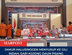 Jamur Halusinogen Menyusup ke Gili Indah: Dari Kojong Daun Pisang ke Meja Bar Wisata