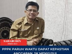 PPPK Paruh Waktu Dapat Kepastian Anggaran, SK Menyusul Usai NIP Terbit
