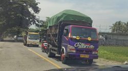 2026-01-31-22-36-17-images