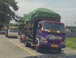 Batu Bara Tercecer Diduga Picu Kecelakaan, Aliansi Akan Demo Minta Dishub dan DLH KSB Bertindak