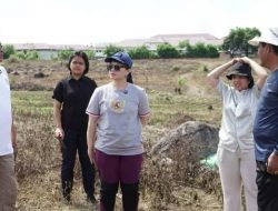Wamen Dikti Saintek Tinjau Lahan Calon SMA Unggul Garuda di Sumbawa, Sekolah Elit Nasional Segera Terwujud?