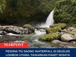 Pesona Tiu Saong Waterfall di Selelos Lombok Utara, Tawarkan Paket Wisata Alam yang Tenang dan Terjangkau