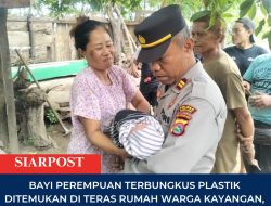 Bayi Perempuan Terbungkus Plastik Ditemukan di Teras Rumah Warga  Kayangan Lombok Utara