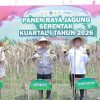 Panen Raya Jagung Serentak 2026, Kapolda NTB Ajak Petani Jaga Ketahanan Pangan