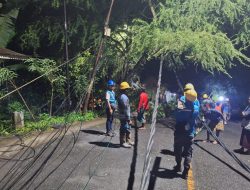 PLN Gerak Cepat Tangani Gangguan Jaringan di Kuta, Empat Tiang Roboh Berhasil Dipulihkan