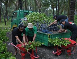 Kado Milad ke-67 Kabupaten Sumbawa: Bank NTB Syariah Persembahkan “Nursery Farm” untuk Masyarakat Sumbawa
