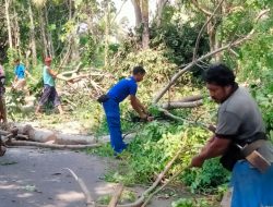 Personel Ditpolairud Polda NTB Bantu Warga Singkirkan Pohon Tumbang di Lombok Barat