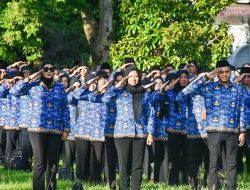 Ratusan ASN Daftar Seleksi Jabatan Kepala Dinas dan Direktur RSUD NTB 2026, Ini Data Lengkapnya