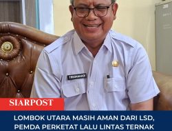 Lombok Utara Masih Aman dari LSD, Pemda Perketat Lalu Lintas Ternak dari Luar Daerah