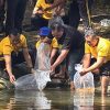 Ditpolairud Polda NTB Dukung Ketahanan Pangan melalui Tabur Benih Ikan di Kolam Loang Baloq