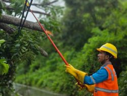 PLN UIW NTB Tuntaskan Pemulihan Kelistrikan Pasca Cuaca Ekstrem di Lombok