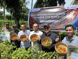 Cabai Rawit Jadi “Penjaga” Daya Beli Saat Ramadhan, Lombok Utara Kirim Sinyal Stabilitas Harga ke NTB