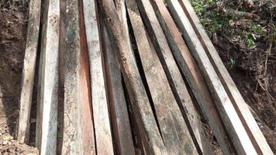 Satgas Temukan Bekas Tebangan Jati di Hutan Kerawak Utuk Sumbawa, BKPH Wilayah IV Perketat Pengawasan Menuju Air Terjun Ai Beling