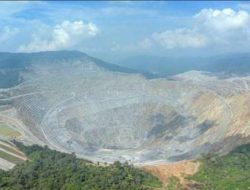 Hutan Dompu Dibabat Diam-Diam: PT STM Disorot, Bidang Forestrik Diduga ‘Tutup Mata’ atas Penebangan Liar