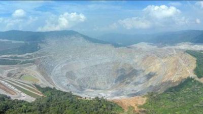 Hutan Dompu Dibabat Diam-Diam: PT STM Disorot, Bidang Forestrik Diduga ‘Tutup Mata’ atas Penebangan Liar