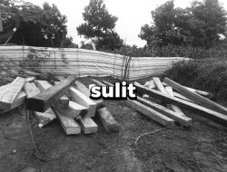 HEADLINE: Hutan Dompu Dibabat Diam-diam: PT STM Disorot, Bidang Forestik Diduga ‘tutup mata’ Atas Penebangan Liar