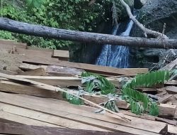 Diduga Ada Illegal Logging di Dusun Punik Batulanteh, BKPH Wilayah IV Batasi Verifikasi Kayu: Ini Klarifikasi UD Insani