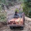 KPH Sumbawa Buka Suara Soal Dugaan Illegal Logging UD Insani, Penebangan dan Pembukaan Jalan Sudah Dihentikan