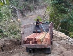 KPH Sumbawa Buka Suara Soal Dugaan Illegal Logging UD Insani, Penebangan dan Pembukaan Jalan Sudah Dihentikan