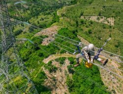 Pemerintah Putuskan Tarif Listrik Triwulan II 2026 Tidak Naik, PLN Siap Jaga Keandalan dan Kualitas Layanan di Tengah Dinamika Global