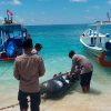Benda Misterius Mirip Torpedo Ditemukan di Gili Trawangan, Diduga Alat Observasi Laut