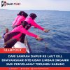 Dari Sampah Dapur ke Laut Gili, Bhayangkari NTB Ubah Limbah Organik Jadi Penyelamat Terumbu Karang