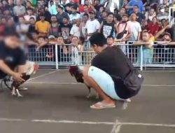 Gocekan Merajalela di Mataram Diduga Dibekingi Oknum Aparat, Wali Kota Dinilai Absen