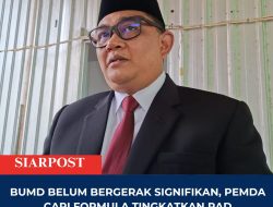 BUMD Belum Bergerak Signifikan, Pemda Cari Formula Tingkatkan PAD