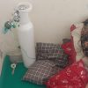 NTBCARE Desak Pemprov NTB Tingkatkan Kelayakan Rumah Singgah Pasien, Oksigen hingga Layanan Antar Jemput Jadi Kebutuhan Mendesak