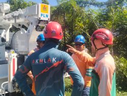 Kinerja PLN UIW NTB Makin Optimal, PDKB UP3 Sumbawa Perkuat Keandalan Jaringan Tanpa Padam di Desa Penyegar