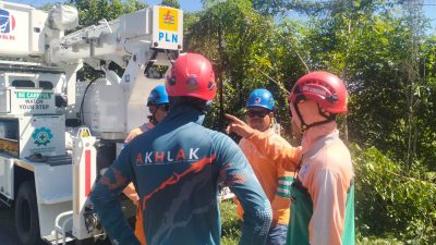 Kinerja PLN UIW NTB Makin Optimal, PDKB UP3 Sumbawa Perkuat Keandalan Jaringan Tanpa Padam di Desa Penyegar