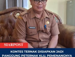 Kontes Ternak Disiapkan Jadi Panggung Peternak KLU, Pemenangnya Berpeluang Jadi Kurban Presiden