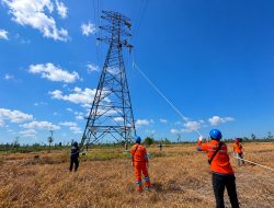 Semangat Kemerdekaan RI ke-81, PLN UIW NTB Perkuat Keandalan Listrik Melalui Pemeliharaan Tanpa Padam