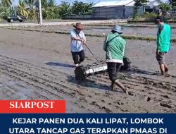 Kejar Panen Dua Kali Lipat, Lombok Utara Tancap Gas Terapkan PMAAS di 943 Hektare Sawah