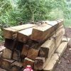 Gugatan Pembentukan Satgas Hutan Sumbawa Masuk Tahap Persiapan, PTUN Mataram Periksa Legalitas SK Bupati