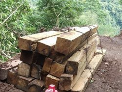 Gugatan Pembentukan Satgas Hutan Sumbawa Masuk Tahap Persiapan, PTUN Mataram Periksa Legalitas SK Bupati