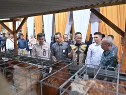 Dukung Program Desa Berdaya NTB, Bank NTB Syariah Salurkan Bantuan Budidaya Ayam Petelur untuk Masyarakat Desa Lendang Nangka Utara
