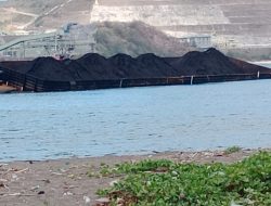 Batu Bara Tumpah di Teluk Benete, HNSI Desak Gakkum KLH Periksa Pemasok: “Jangan Tunggu Laut Rusak!”