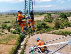 Perkuat Keandalan Kelistrikan Pulau Sumbawa, PLN Rawat Jaringan Transmisi hingga Pelosok