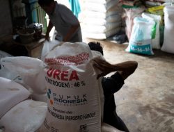Pupuk Subsidi Dompu Diduga Dijual ke Luar Hingga Temuan Rp2,7 Miliar, Kades dan Penyuluh Tolak Tanda Tangan